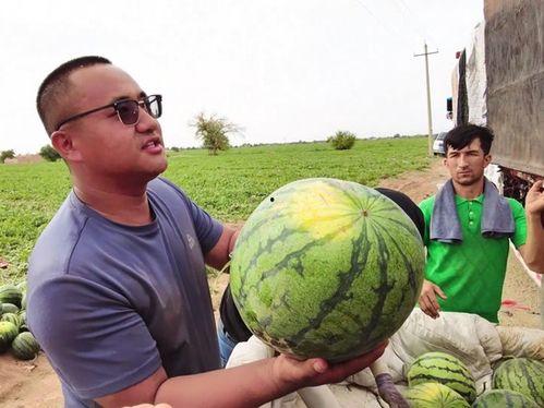 吃瓜的照片配乐,跟随镜头探寻美食背后的故事