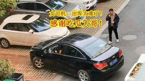 车后面吃瓜,揭秘汽车文化中的趣味瞬间