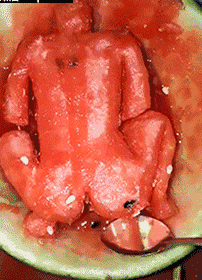 吃瓜群众 gif