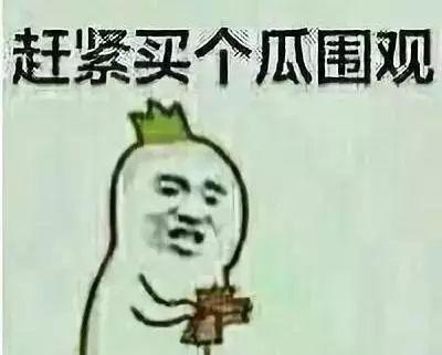 吃瓜群众刘蛋蛋,揭秘娱乐圈幕后故事