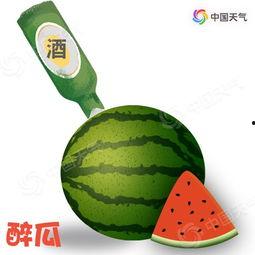 取名大师带你吃瓜,跟随取名大师解锁美食新境界