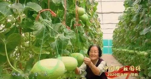 最近徐州吃瓜事件,网络舆论场中的真相与反转