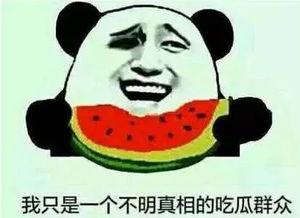 网名叫吃瓜,揭秘网络世界的“瓜田”趣事